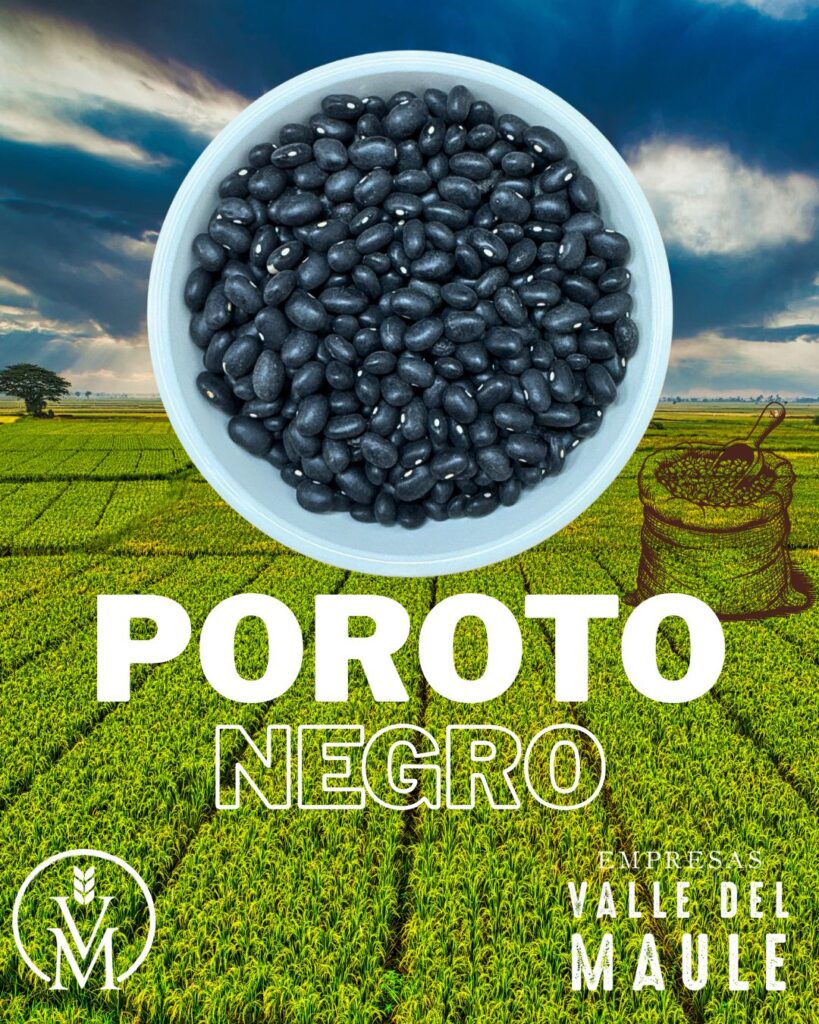 Poroto negro