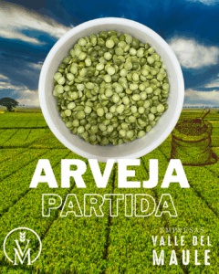 Arveja partida