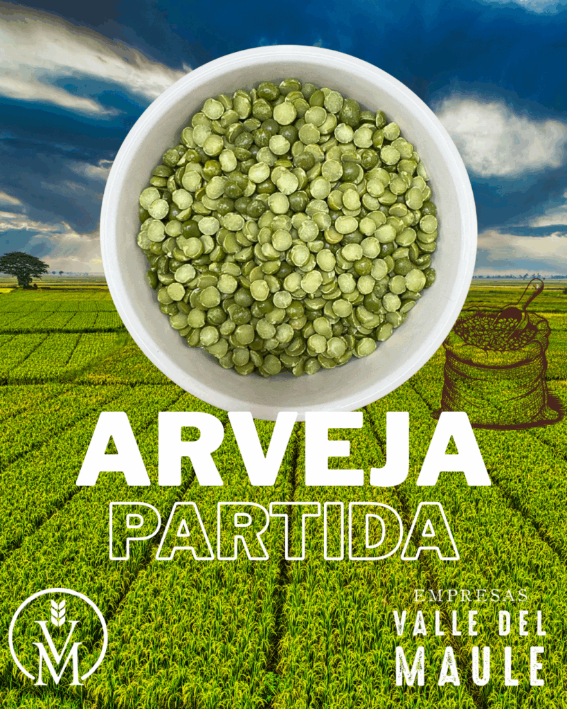 Arveja partida