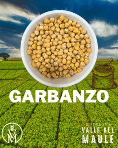 Garbanzo