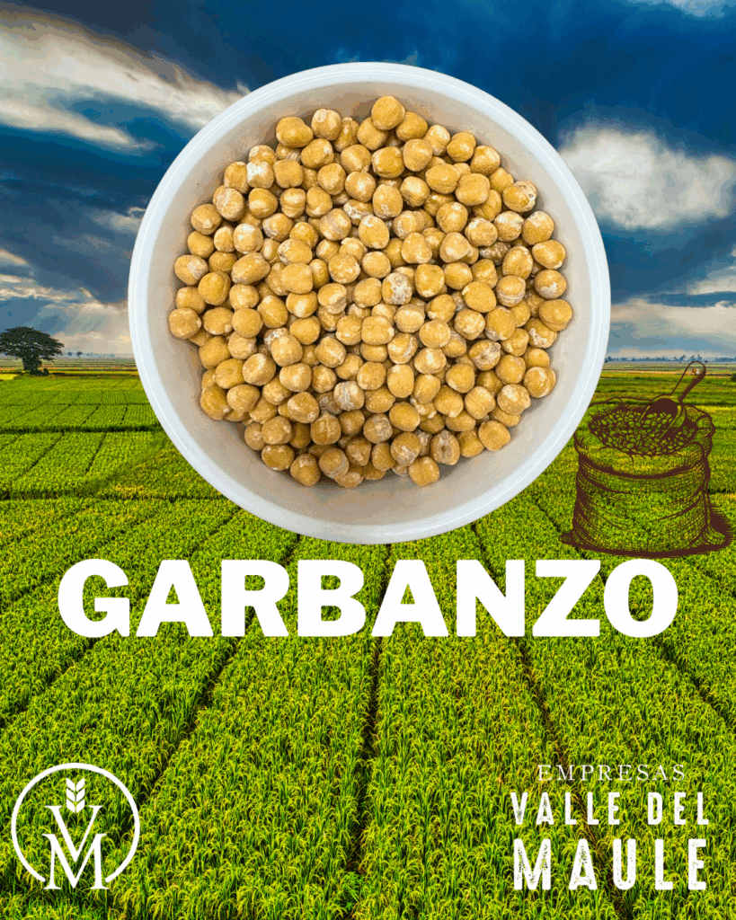 Garbanzo