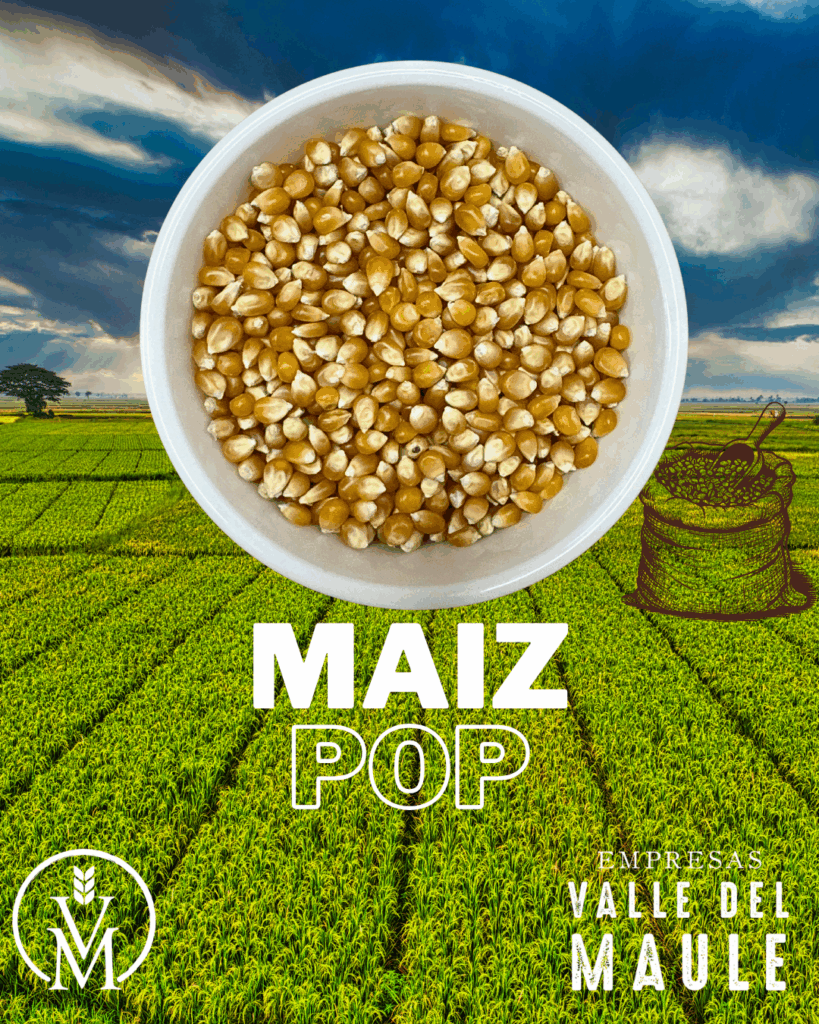 Maiz pop