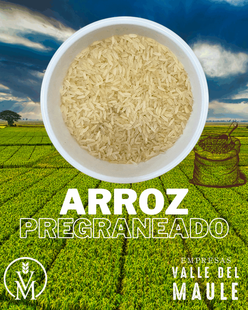 Arroz pregraneado