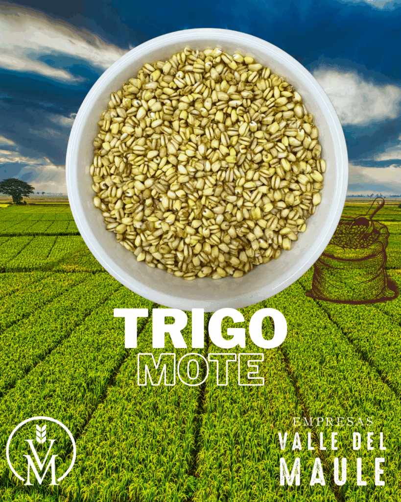 Trigo mote