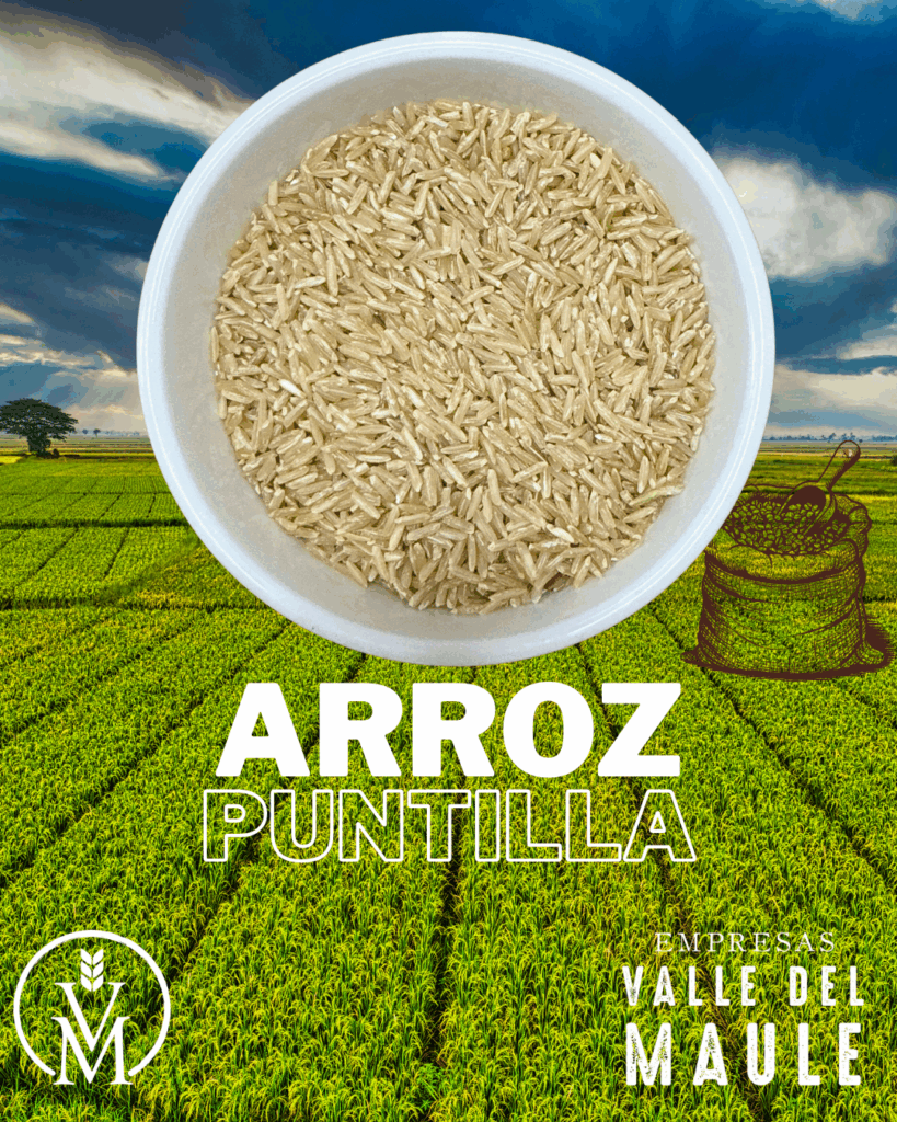 Arroz puntilla