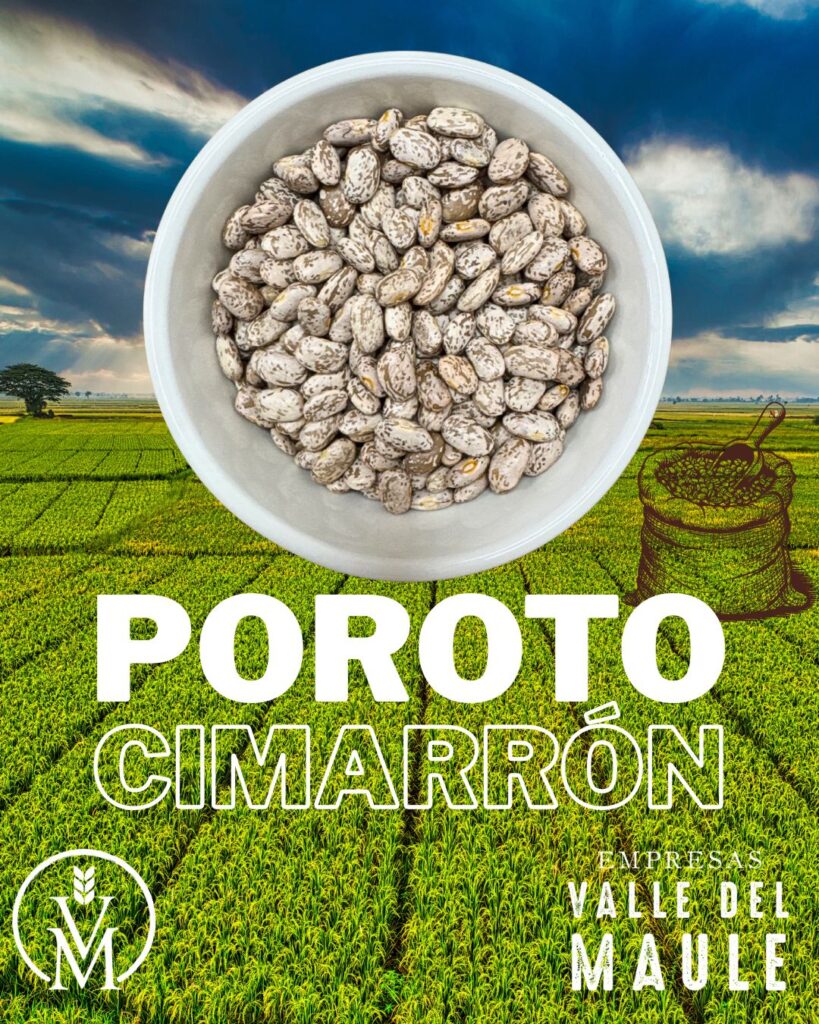 Poroto Cimarrón