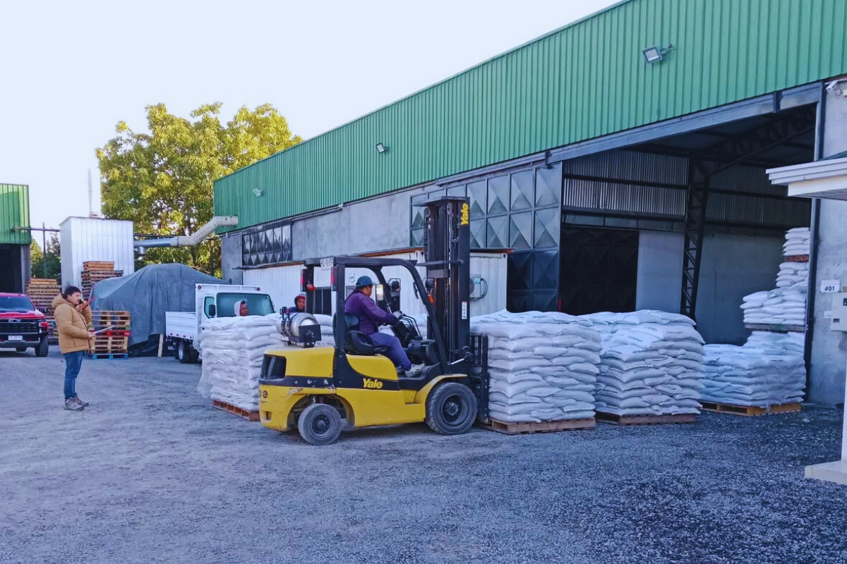 Productos de Empresas Valle del Maule