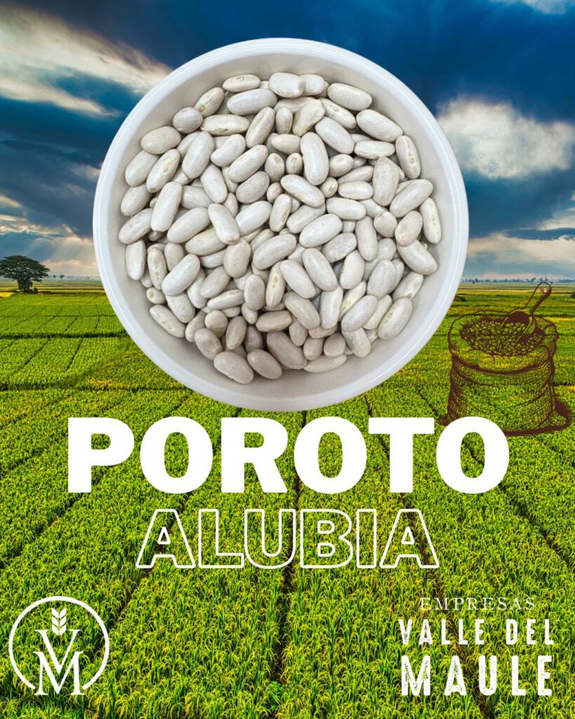 Poroto Alubia