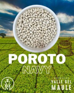 Poroto Navy