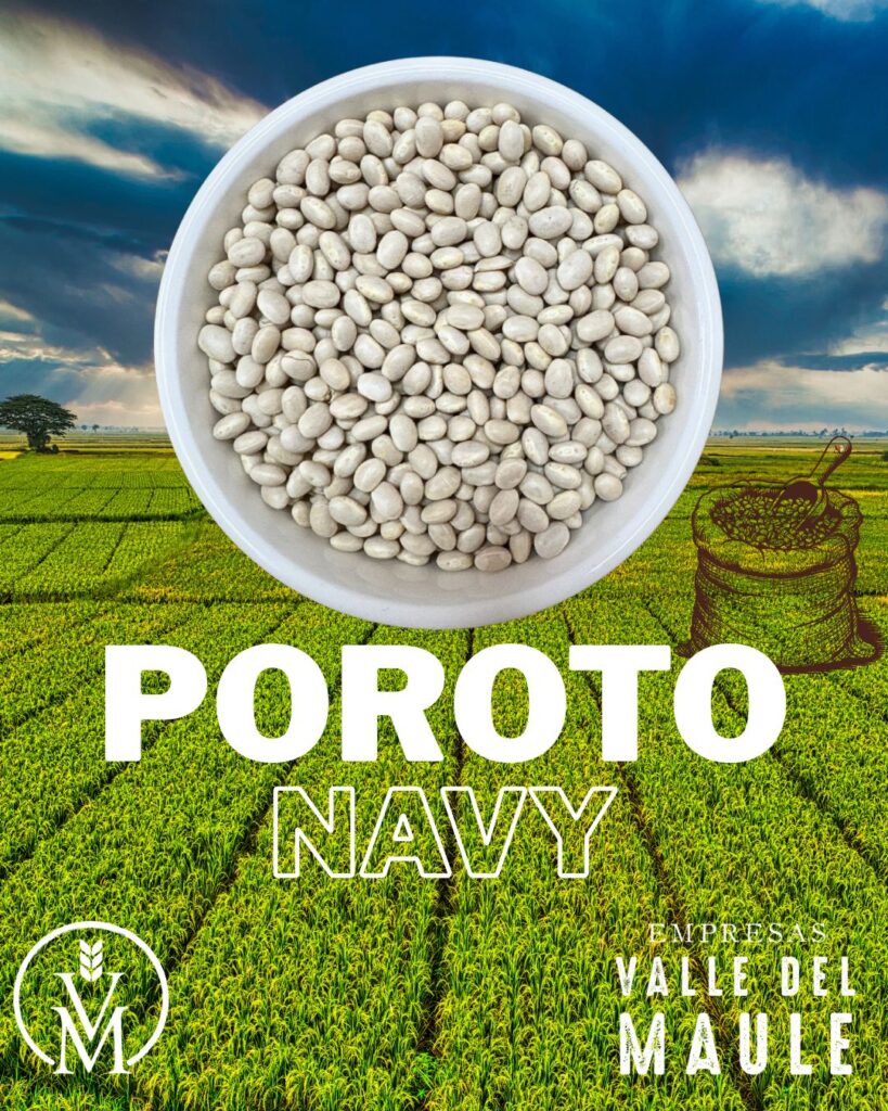 Poroto Navy