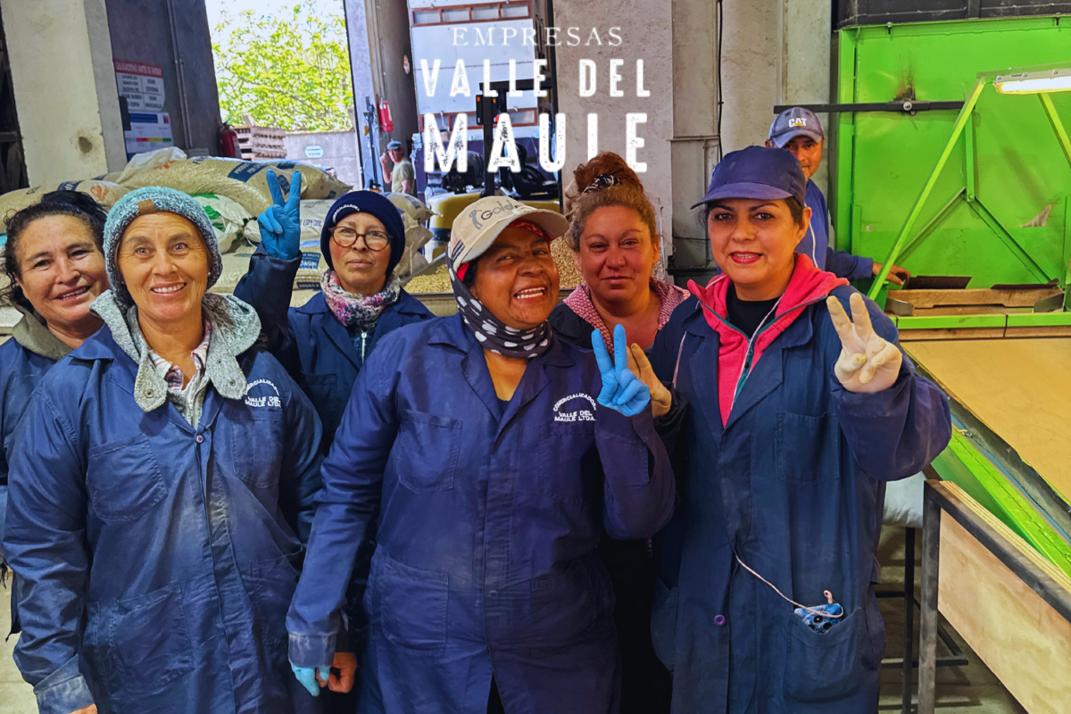 Producción de granos y legumbres